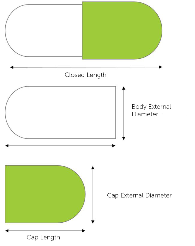 Capsule Sizes